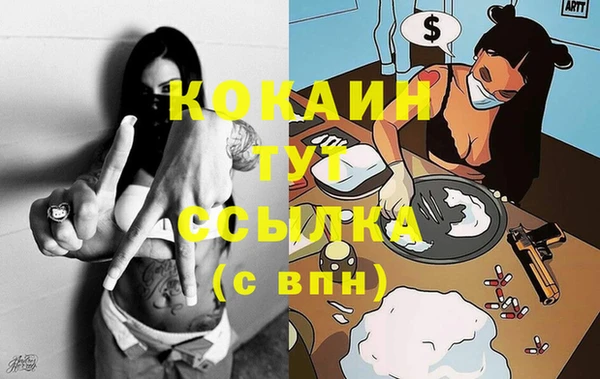 молекула духа Семилуки